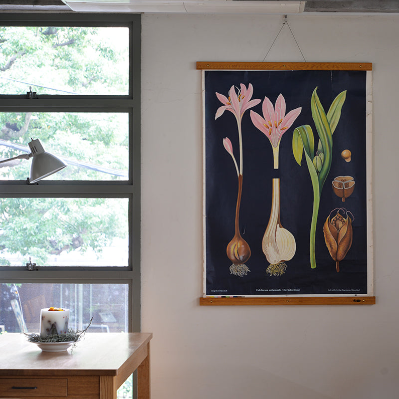 PICTURE FRAME