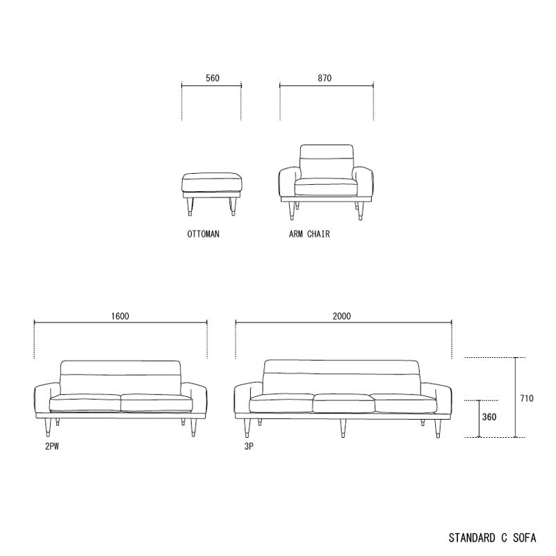 STANDARD C SOFA 2P